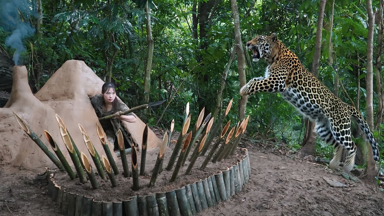 Leopard Attack in the Wild – I Built a Shelter on the Ground Instantly, survival alone