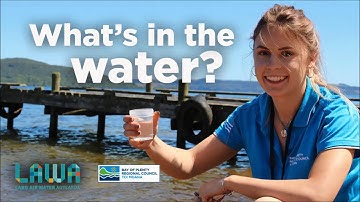 LONG version: Swim water sampling for toxic algae (cyanobacteria) in Bay of Plenty lakes