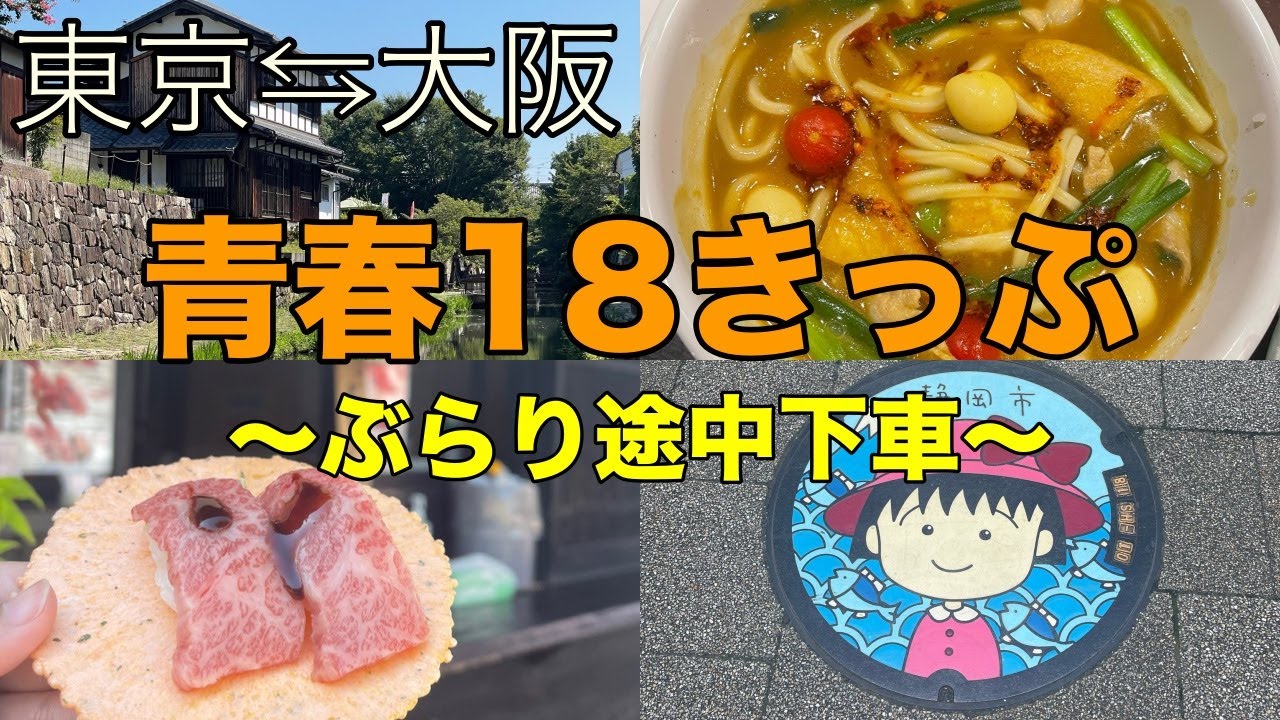 青春18きっぷ　3回分 青春18きっぷパーフェクトガイド2024-2025 - イカロス出版 イカロス