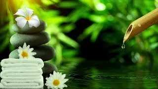 Beautiful Relaxing Music for Stress Relief, Peaceful Piano Music, Sleep Music, Meditation Music, Spa