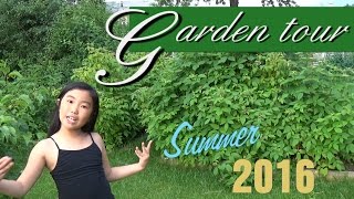 Backyard Organic Fruit Garden Tour - Summer 2016