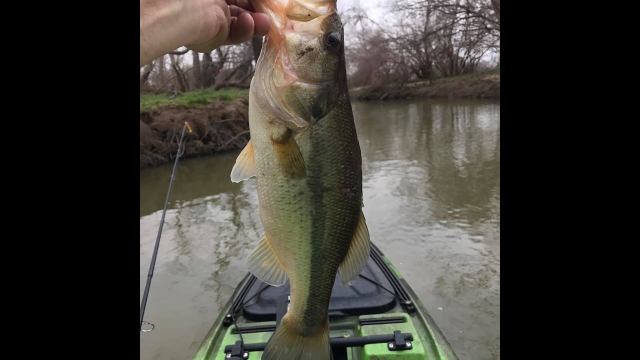 Yegua Creek bass YouTube