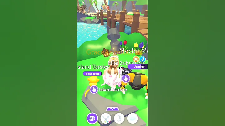 Video 10725861: munchkin cat pet, adoptable pet