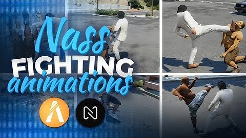 Nass Advanced Fighting System