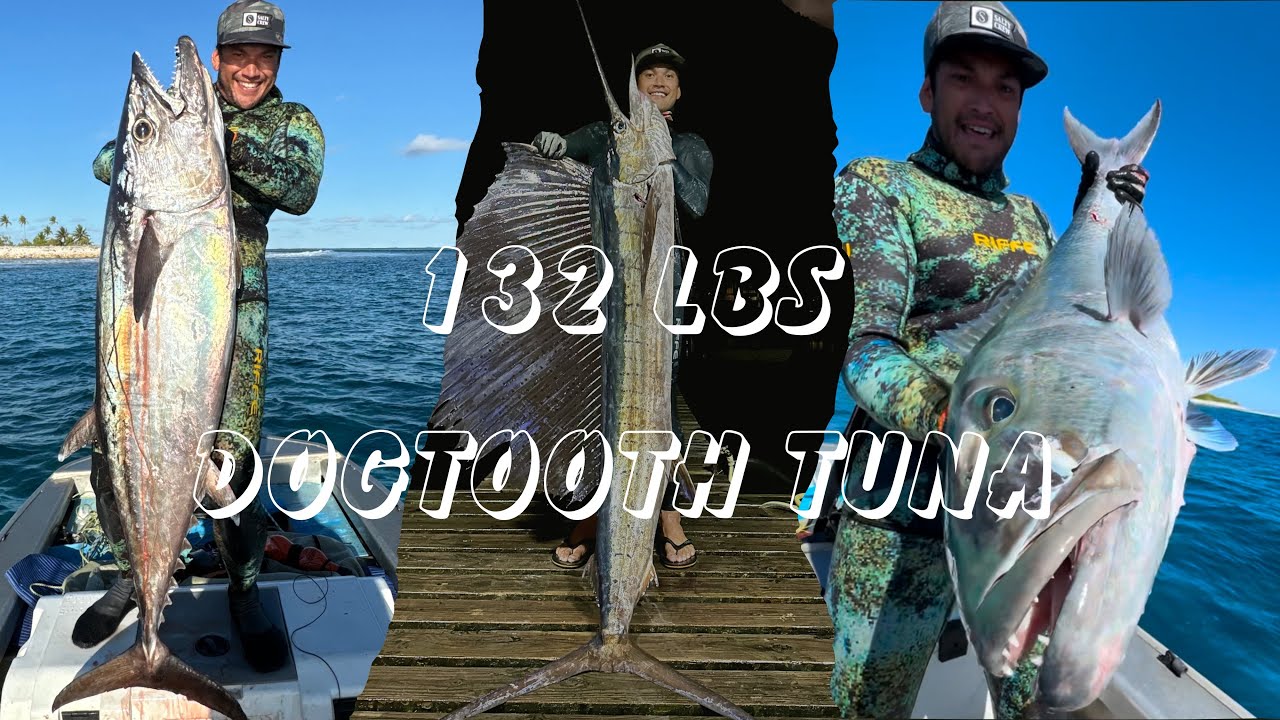 Spearfishing big dogtooth tuna, uku, sailfish in French Polynesia