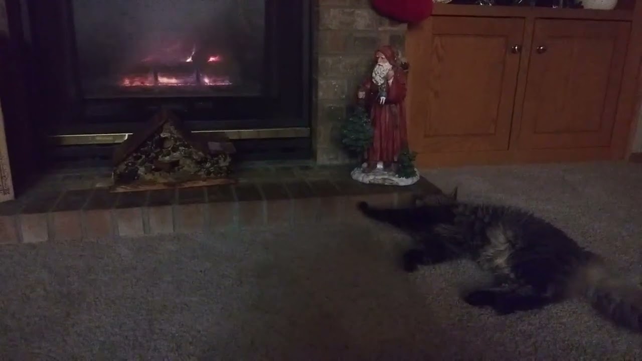 McFluffin meets fireplace part 1