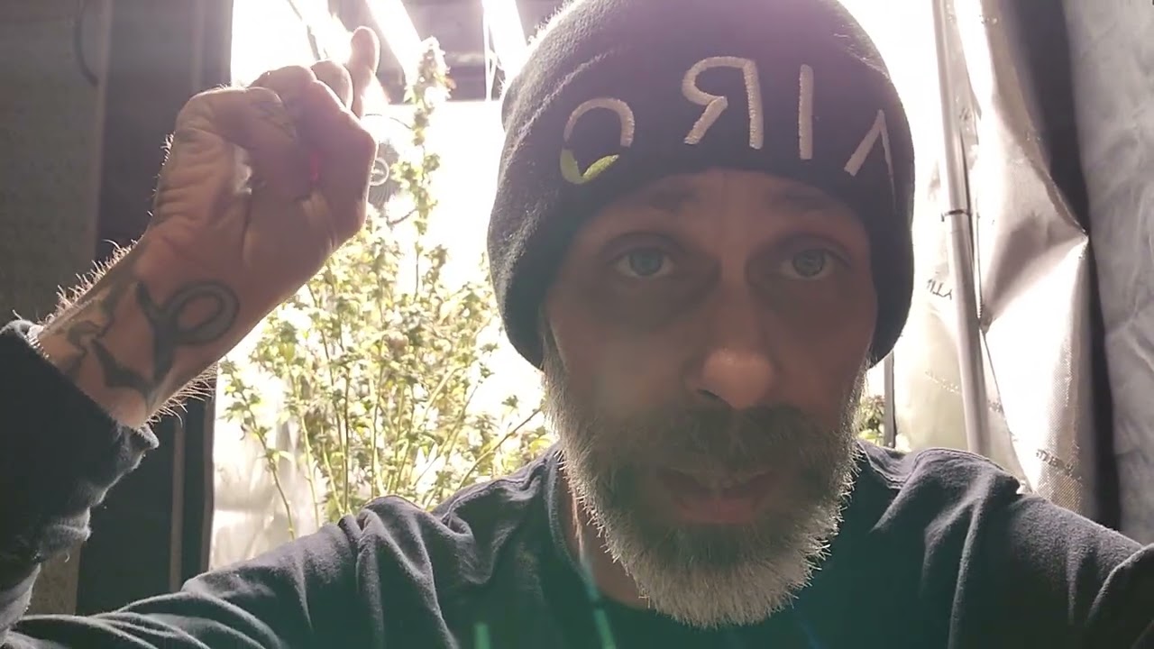 Please watch fellow growers. 