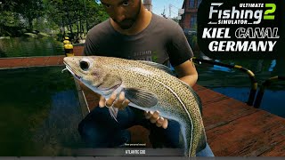 Sea Trout, Atlantic Cod, European Bass, Zander, Kiel Canal in Germany, Ultimate Fishing Simulator 2
