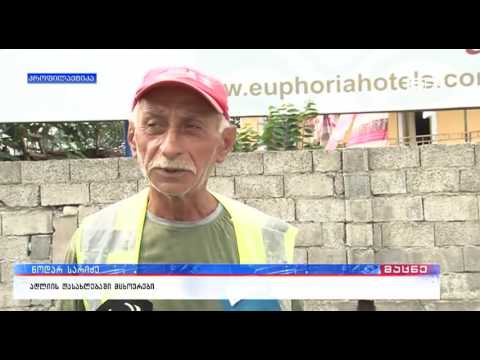 ადლიის დასახლებაში ხეები გაჩეხეს