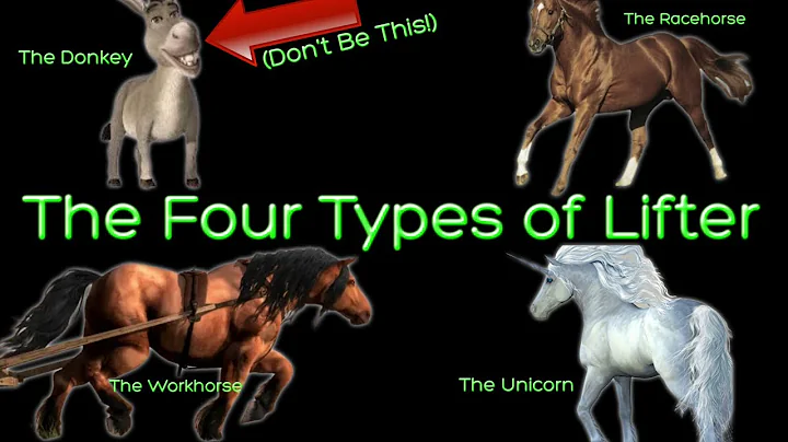 The 4 MUSCLE BUILDING Archetypes (Workhorse VS Racehorse)