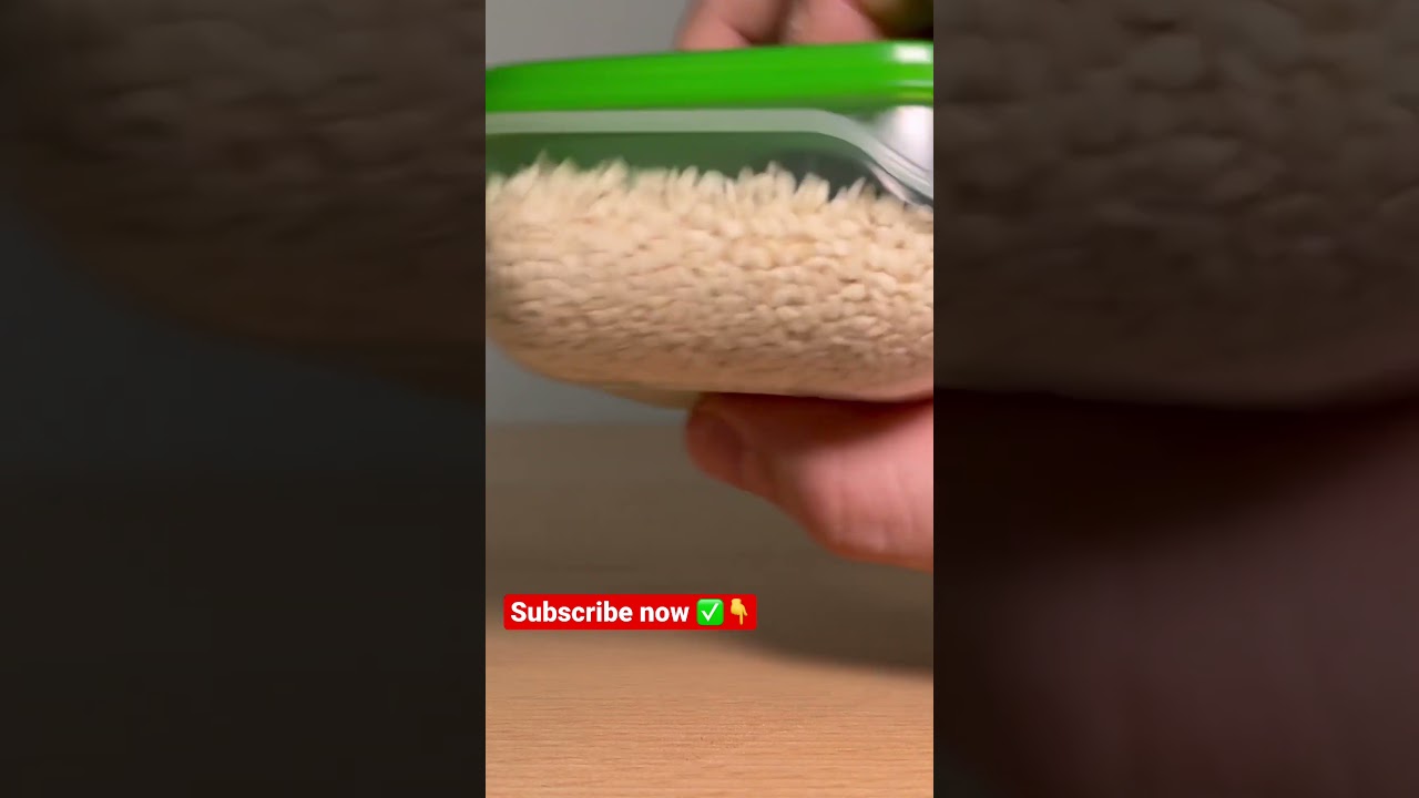 Shaking Sesame Seeds in a Plastic Box Sound Effect Stereo HQ 96kHz #sesameseeds #shake  #soundeffect