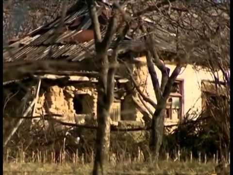 ფონდი „სოხუმის“ დოკუმენტური ფილმი - ქალთა მონაწილეობა ჟენევის ფორმატში