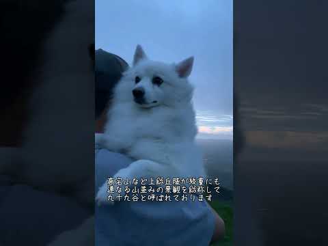 房総丘陵が連なる絶景 鹿野山九十九谷展望公園 千葉県君津市【日本スピッツ】 #日本スピッツ #鹿野山 #君津 #雲海 #絶景