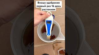 Первый полив — ошибка = минус урожай? Смотри, что я дал своим автоцветам!