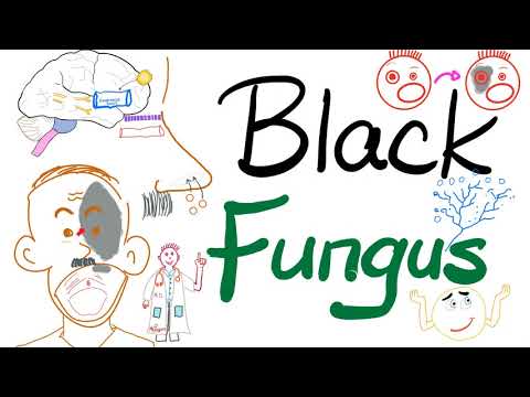 Video: Što je gljiva crne smut: saznajte više o kontroli gljivica smut