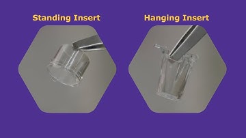 The Differences Between Millicell® Hanging and Standing Cell Culture Inserts