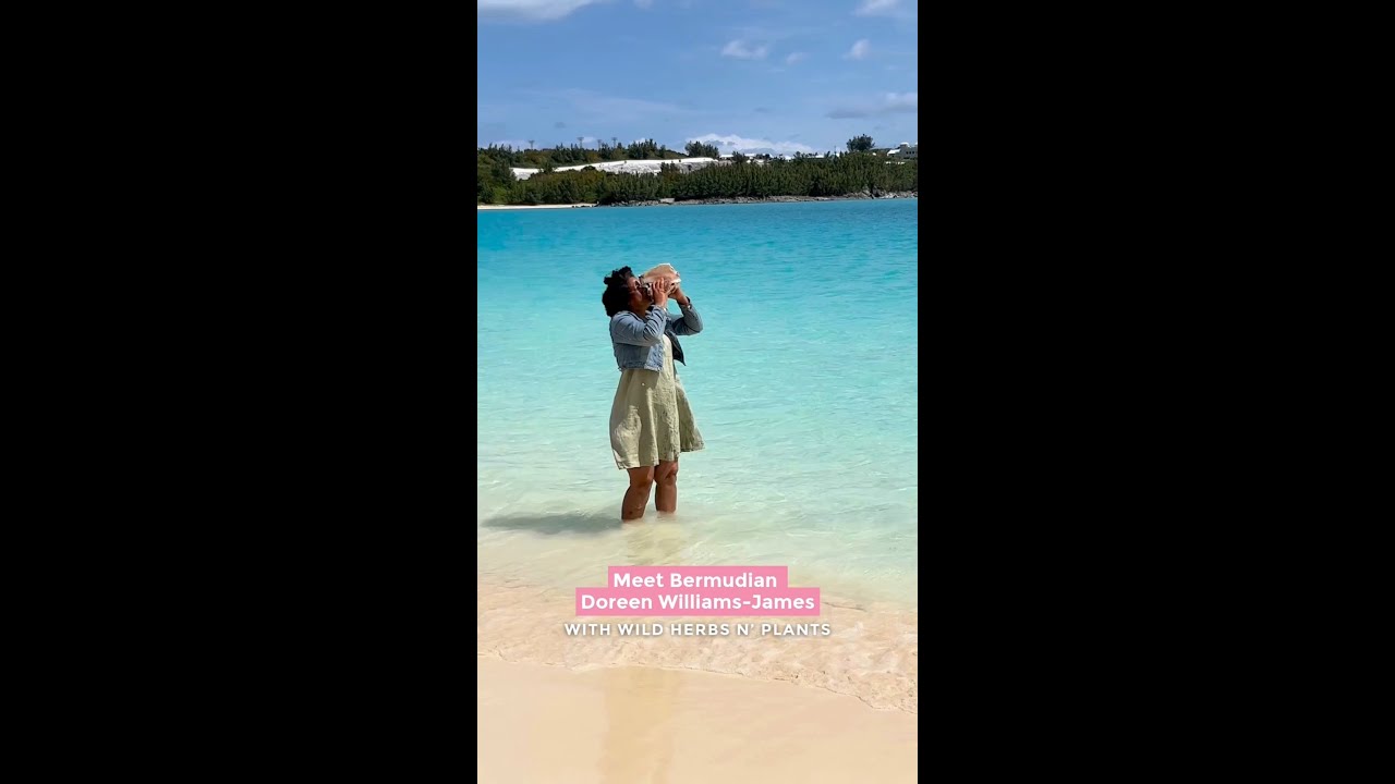 Wild Herb N' Plants Foraging Tour | Go To Bermuda