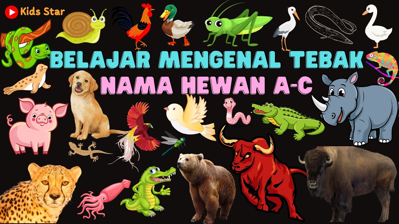 BELAJAR TEBAK-TEBAKAN NAMA NAMA HEWAN A-C BAHASA INDONESIA BAHASA INGGRIS LEARNING ANIMALS NAME