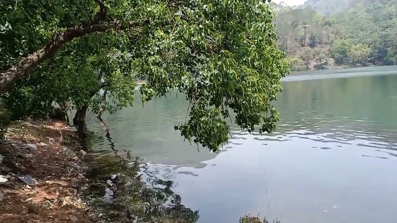 सात ताल नैनीताल | Sattal Nainital | Uttarakhand | bhimtal | satal lake