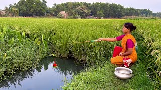 Fishing Video 🐟 || A expert lady is fishing in the rice field canal using hook || Best Hook Fishing 