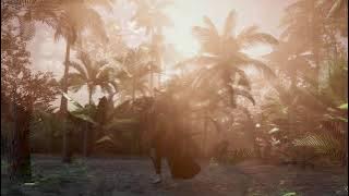 Amani - Orignal 