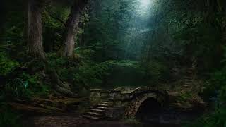 Forest Creek Sounds | 3 Hours | Sleep, Relax, Focus or Meditation