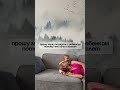 Сколько раз ваши мужья ходят в туалет?