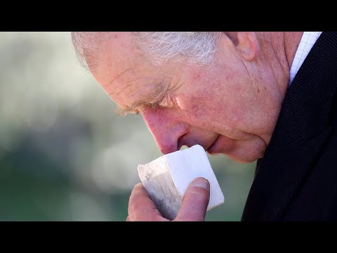 Prince Charles in self-isolation after testing positive for COVID-19