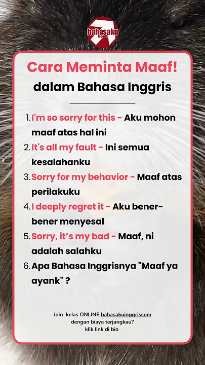 Cara Meminta Maaf! dalam Bahasa Inggris #belajarbahasainggris #shorts #sorry