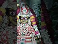Govind dev ji ke Aaj ke adhbhuth darshan #govinddevji #govinddevjijaipur #govinddevjimandir #viral