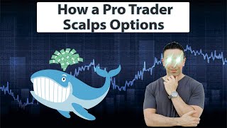 How To Scalp Options With Unusual Whales For Consistent Wins