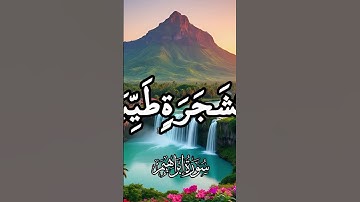سورة إبراهيم   صوت جميل ومريح للقلب والأعصاب #راحة_نفسية وسكينة وطمأنينة #اكسبلور #متابعه # قران