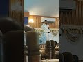 #Technique for deep sleep in manthene Satyanarayana raju ashram
