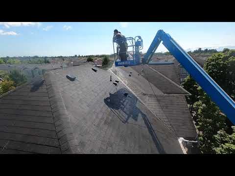 Soft Wash Roof Cleaning - Snippet