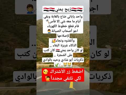 الضياع في الغابة 