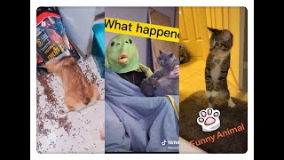 ❓What Happen To Me!!!!!  Funniest compilation---Jan.5  2021