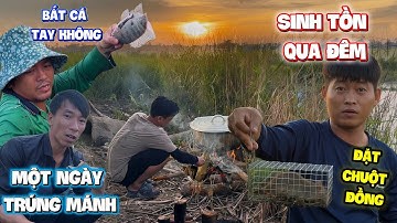 12H sinh tồn ,săn bắt, mò cá ,dựng liều ngủ qua đêm, đặt chuột đồng mùa lúa chín  | HoàiPhong TV