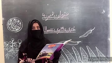 Class 4 Urdu text - Assignment for Copy # 04  - HSS