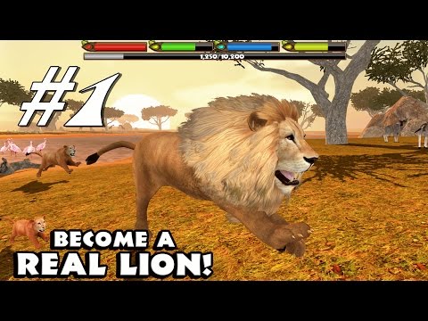 ultimate-lion-simulator-by-gluten-free-games---android-&-ios---gameplay-part-1