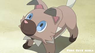 Ash And Pikachu Teaching Rockruff For Battle