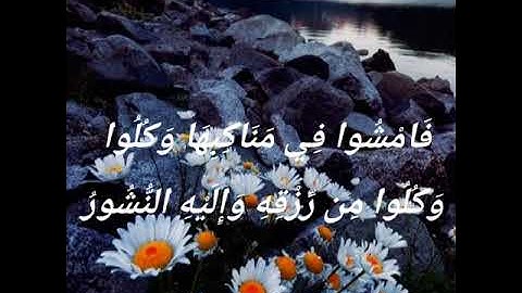 سورة الملك - سورة 67 - عدد آياتها 30        بسم الله الرحمن الرحيم