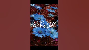 قرآن كريم ❤❤#قرآن #قران_كريم