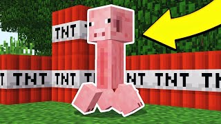 10 SAKER DU KANSKE INTE VISSTE OM I MINECRAFT!