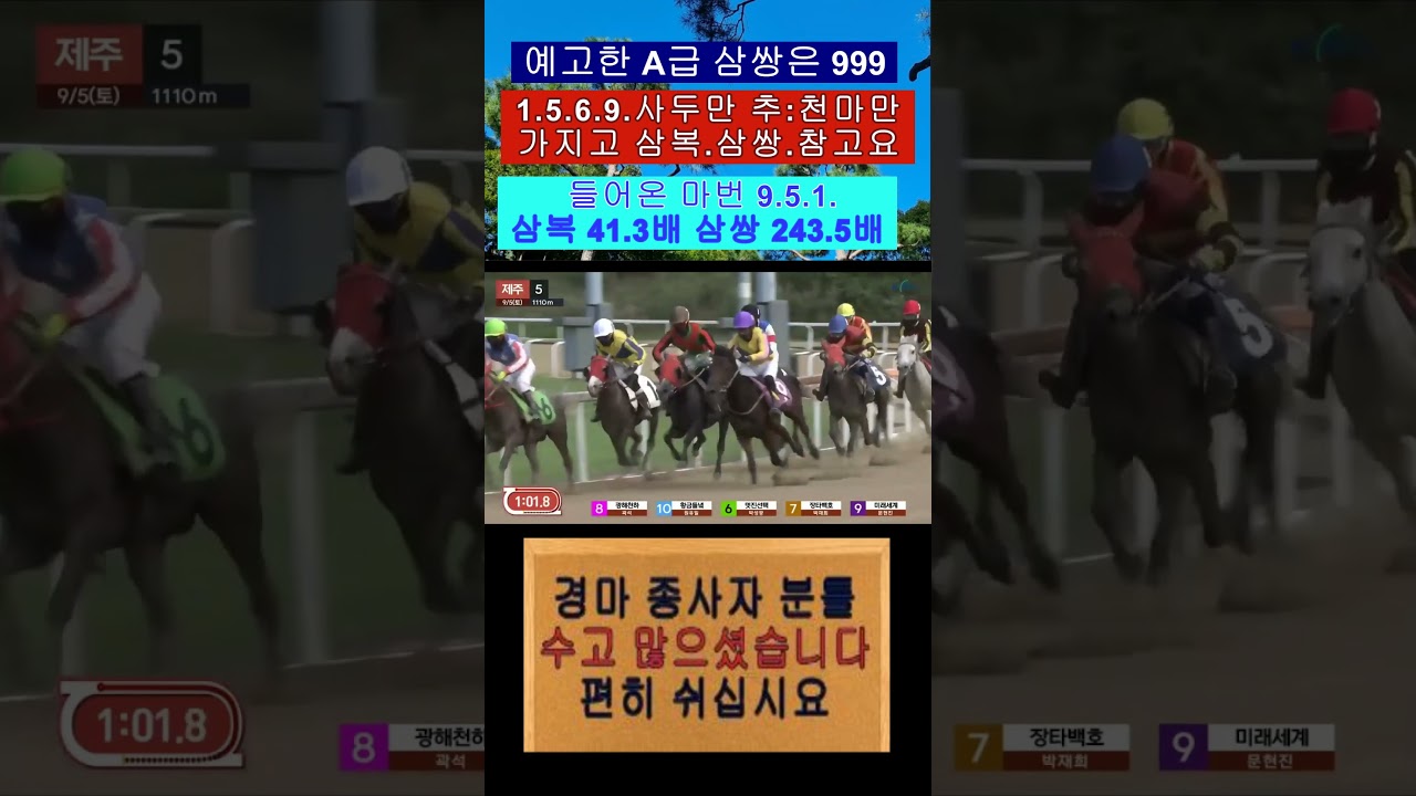 삼복.삼쌍.999 사두만 가지고 참고하면 재밌습니다 영상보기