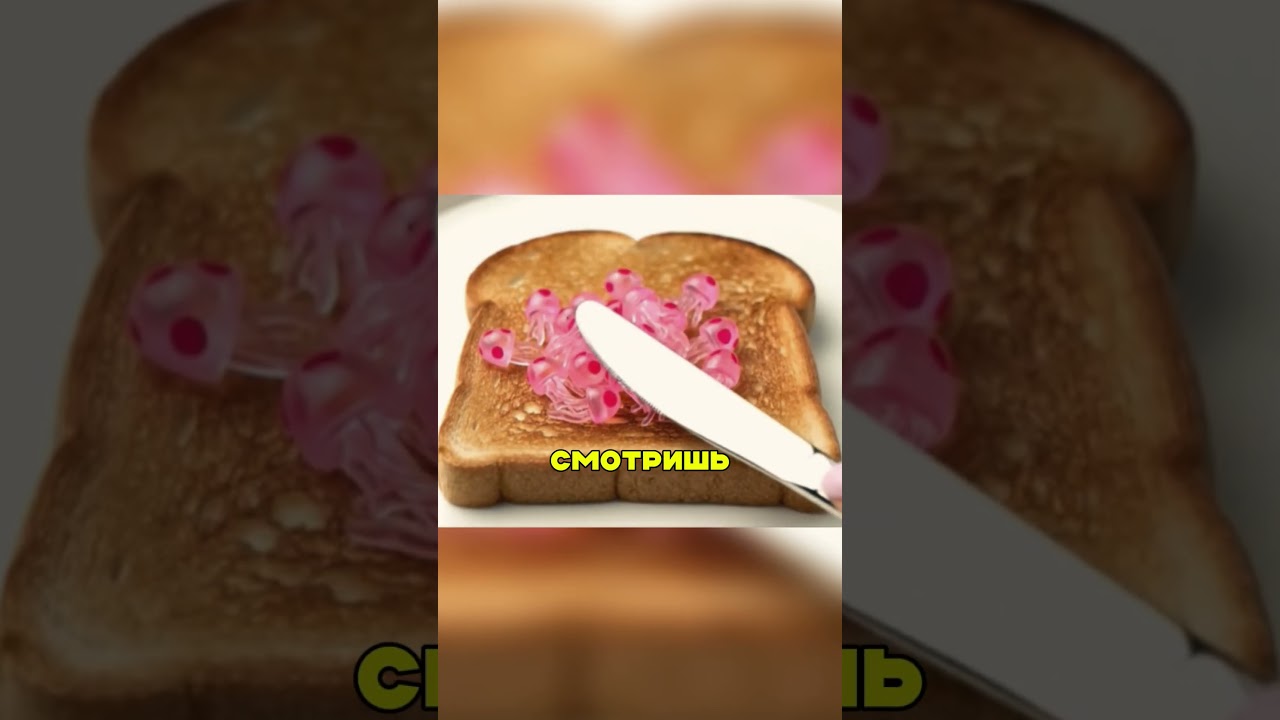 Самый талантливый повар