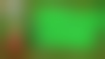 Bread Bank (No Gluten) but it