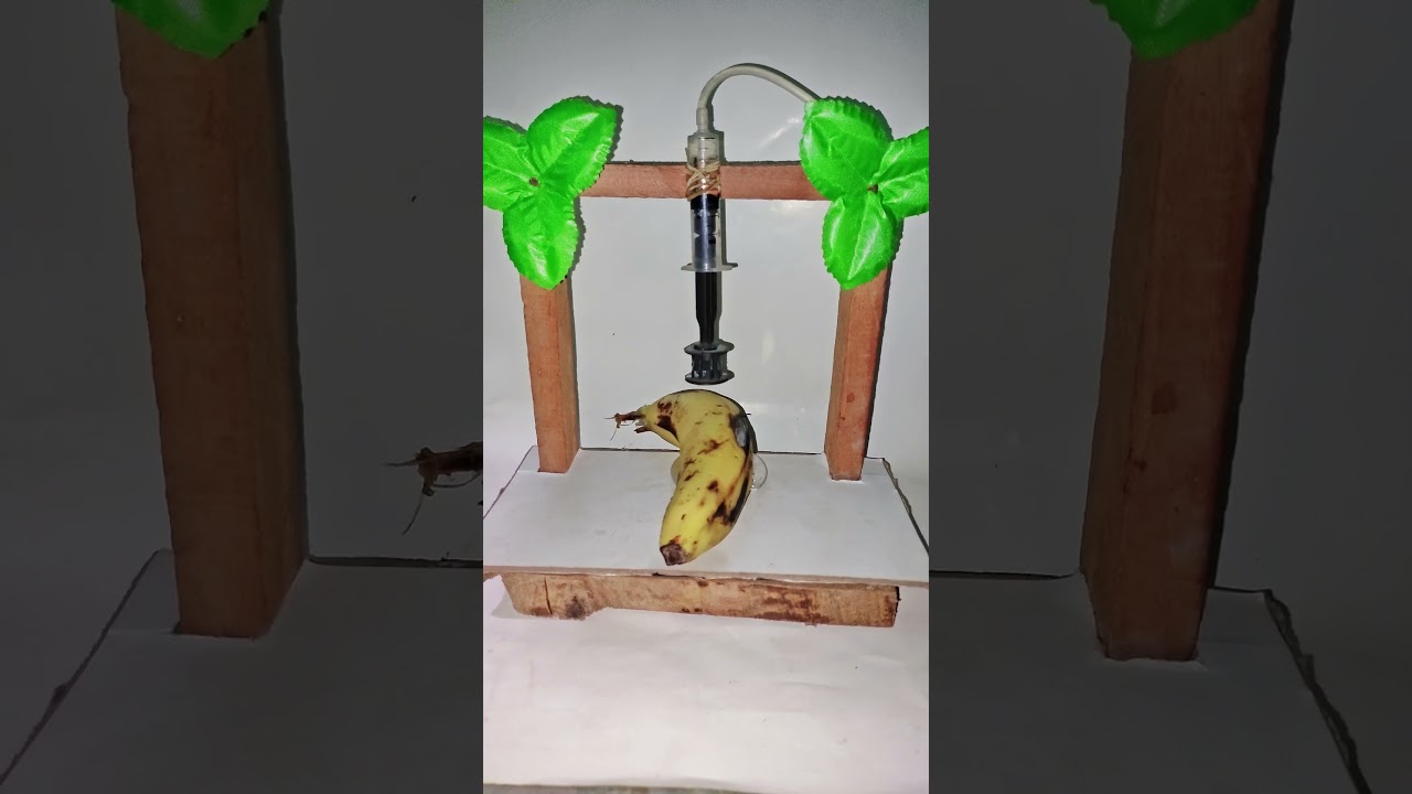 🔥 Homemade Mini Hydraulic Press 🆚 Banana 🍌 Pressing | EPIC Crush Test! 