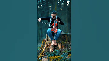 Faded Violin Alanwalker Faded Violin Violinist Forrest 