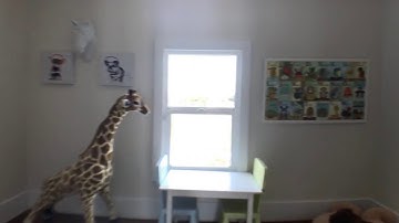 Real Estate Video Walkthrough example