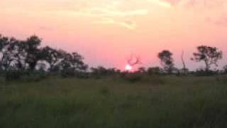 Tanzania music, mbira/kalimba song